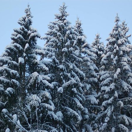 Holiday Home With Garden In Hellenthal Eifel ภายนอก รูปภาพ