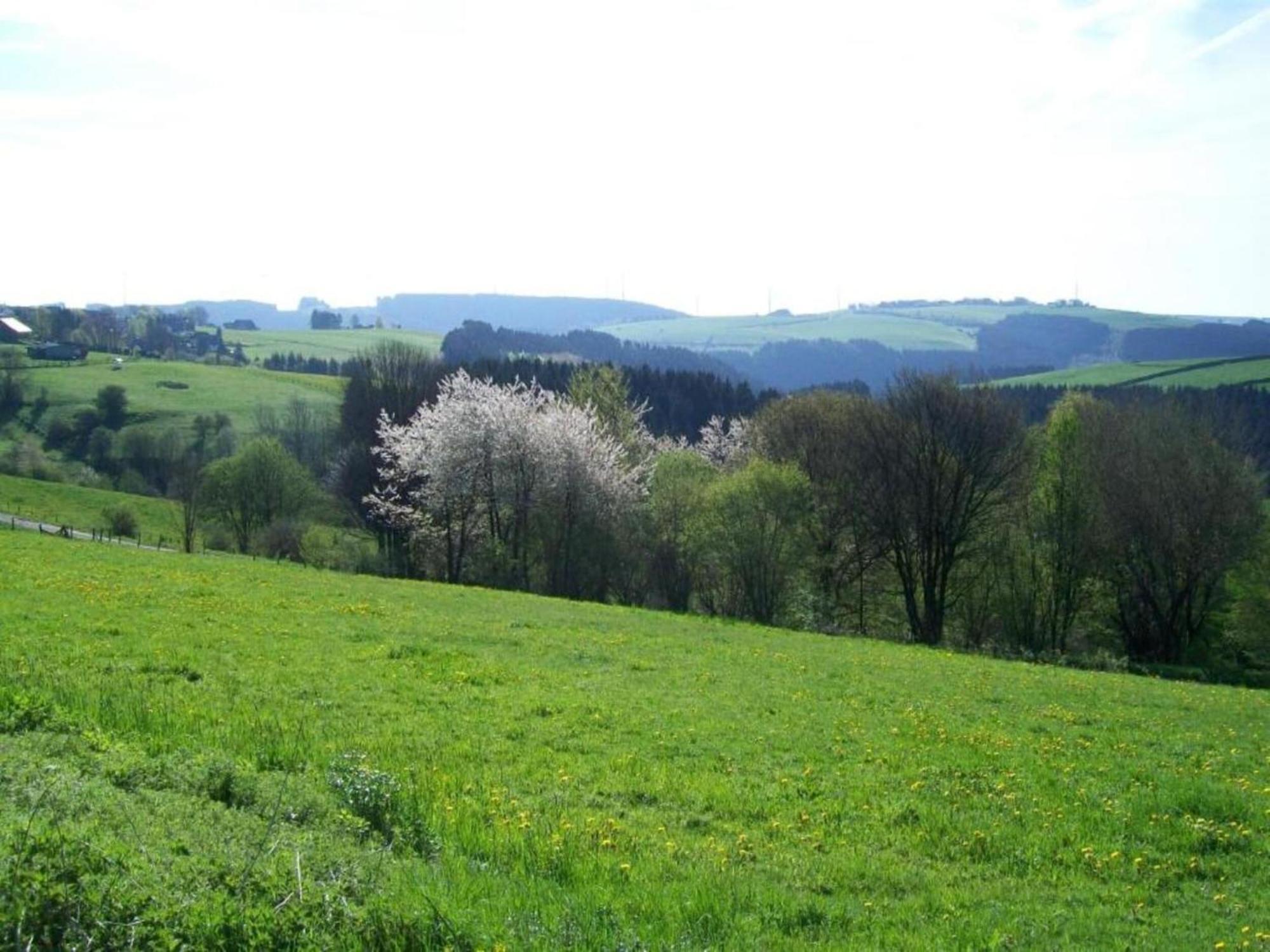 Holiday Home With Garden In Hellenthal Eifel ภายนอก รูปภาพ