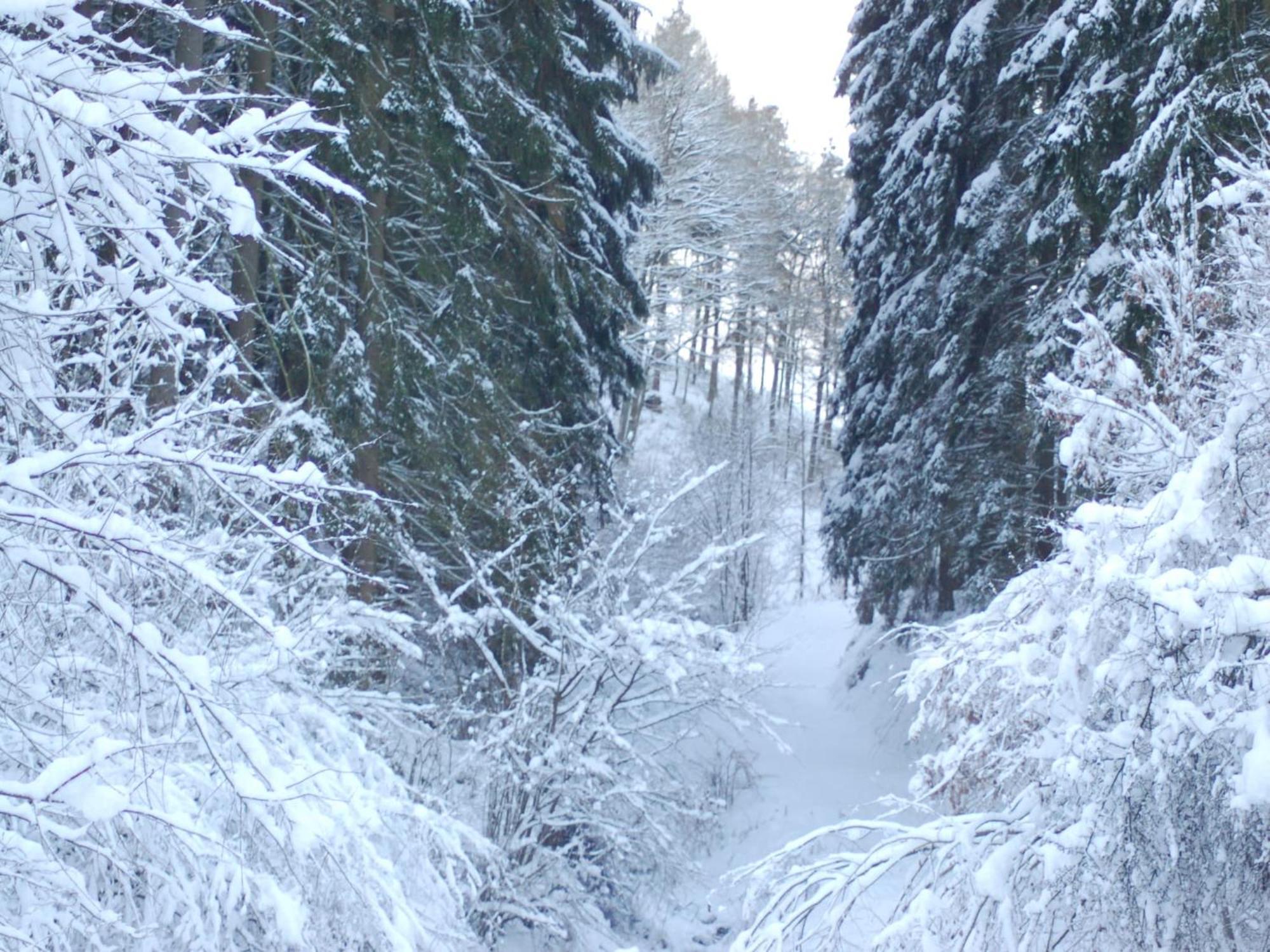 Holiday Home With Garden In Hellenthal Eifel ภายนอก รูปภาพ