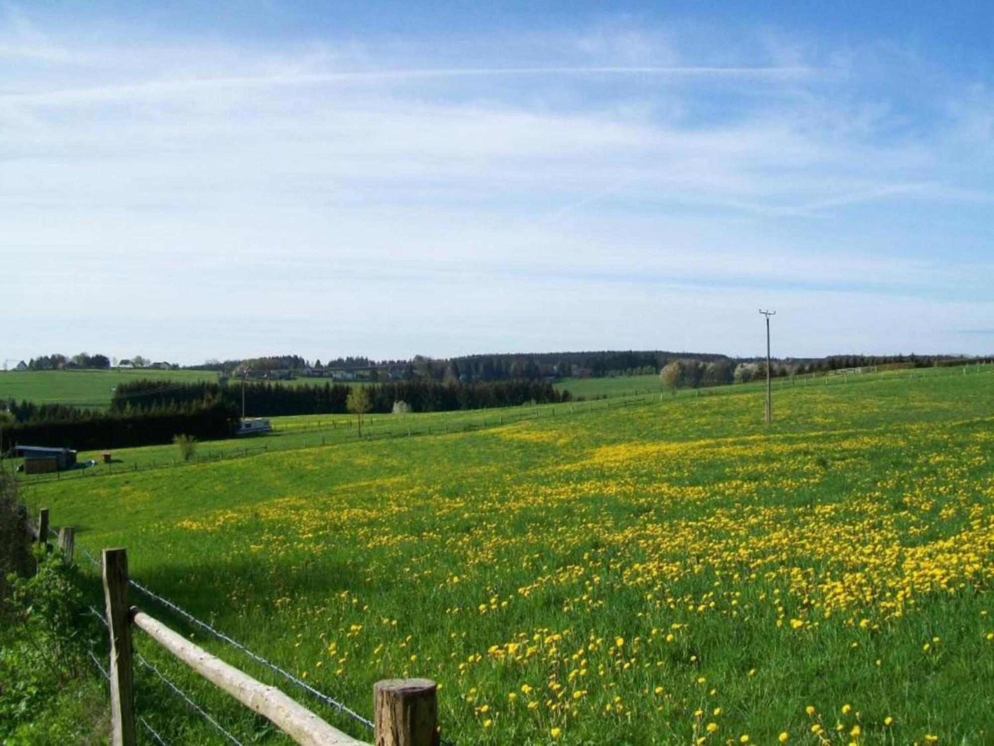 Holiday Home With Garden In Hellenthal Eifel ภายนอก รูปภาพ